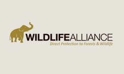 Wildlife Alliance